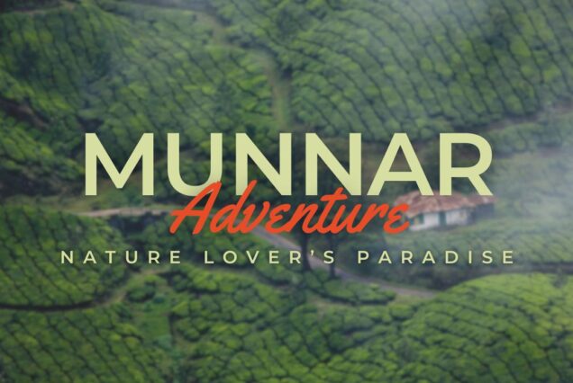 Munnar- Nature Lover’s Paradise