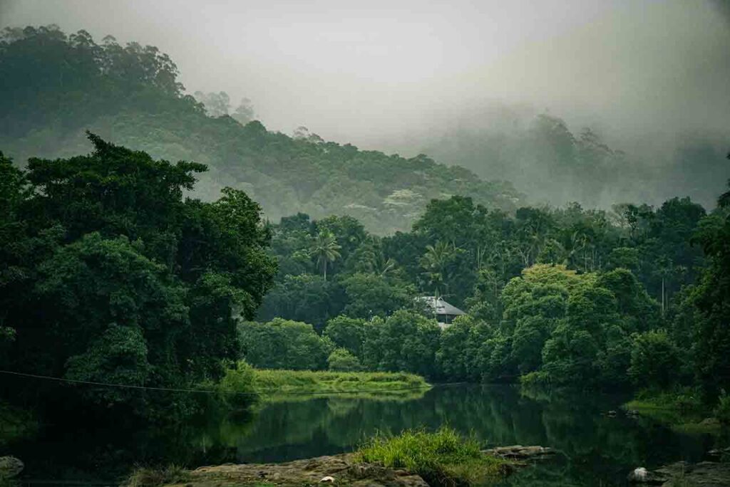 Serene rolling meadows and pine forests in Vagamon, a peaceful hill station in Kerala